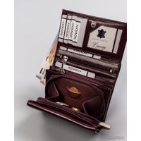 Кошелек Cedar Rovicky R-RD-38-GCL (сливовый)