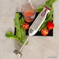 Погружной блендер Aresa AR-1106