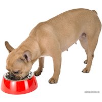 Миска Ferplast Jolie Medium (черный)