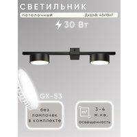 Припотолочная люстра Aitin Pro X3796/2 (черный)
