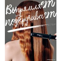 Выпрямитель Mark Shmidt MS 209