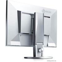 Монитор EIZO FlexScan EV2450 (EV2450-GY)