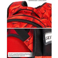 Школьный рюкзак SkyName R1-068 + брелок мишка