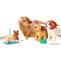 Кукла Barbie Doggy Daycare Doll & Pets FXH08