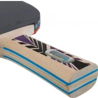 Набор для настольного тенниса Donic-Schildkrot Legends 800 788488