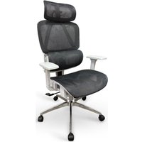 Офисное кресло myroo Office Ping T204-GW (grey/white)