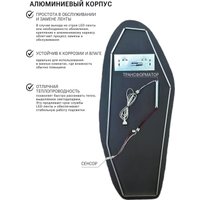 Зеркало с подсветкой  eMZe 49x115 LED.UV.NF.49.115.AUR.4K (золото с УФ-окантовкой и подсветкой)