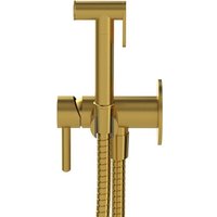 Гигиенический душ Whitecross SYSYBI2GLB (брашированное золото)