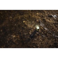 Фонарь Armytek Elf C2 Max USB-C (теплый)