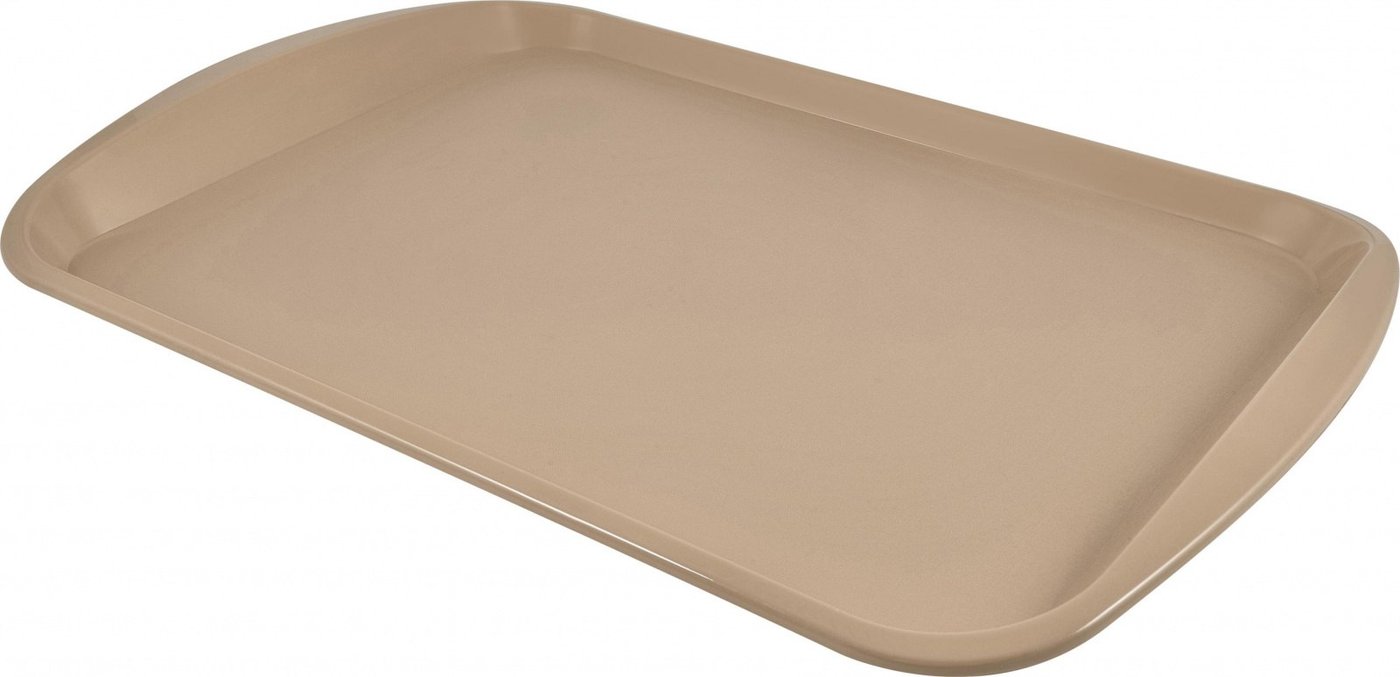 

Поднос Plast Team PT921610015