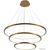 Подвесная люстра LOFT IT Ring 10015/3