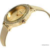 Наручные часы Anne Klein 3166GPST