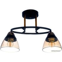 Люстра средней высоты Aitin Pro C1308/2 (черный)