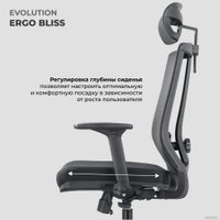 Кресло Evolution ERGO BLISS Black (черный)