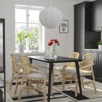 Стул с подлокотниками Ikea Salno 50551202