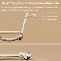 Трехколесный самокат Ricos 6 в 1 TBD0604550810 (розовый)