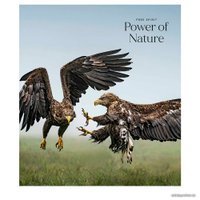 Полуобщая тетрадь Школярик Power Of Nature 048-2932K/71354 (ассорти)