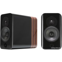 Полочная акустика Q Acoustics Concept 300 (черный/палисандр)