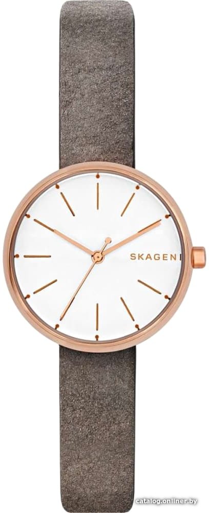 Наручные часы Skagen SKW2644