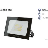 Уличный прожектор Luminarte LFL-20W/05