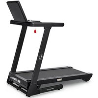 Электрическая беговая дорожка Orlauf Harrier (черный)