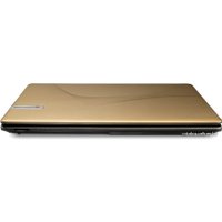 Ноутбук Packard Bell EasyNote TSX66-HR-2674G1TMn (LX.BZP02.002)