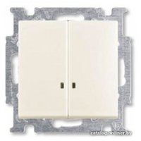 Выключатель ABB Basic 55 1012-0-2188 (шале-белый)