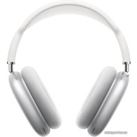 Наушники Apple AirPods Max (с разъёмом Lightning, серебристый)