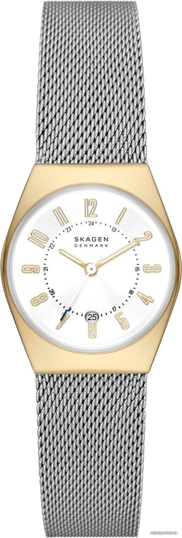Наручные часы Skagen Grenen Lille SKW3051