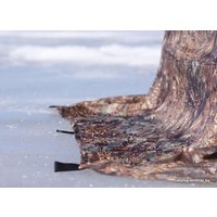 Экспедиционная палатка Берег УП-7