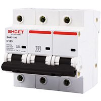 Выключатель автоматический Shcet ВА47-100 3Р 100А C в Борисове