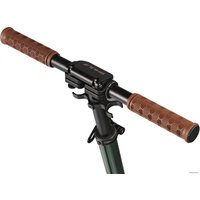 Двухколесный подростковый самокат Shulz 200 2022 (зеленый)