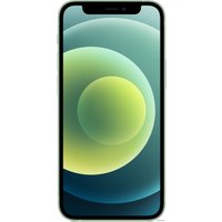 Телефон Apple iPhone 12 mini 128GB Восстановленный by Breezy, грейд B (зеленый)