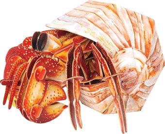 Конструктор Makebug Bring Nature Home Рак-отшельник MB-B-0008