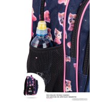 Школьный рюкзак SkyName R2-215 + брелок мишка