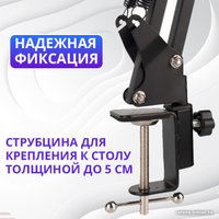 Стойка Zarrumi Stand D47 Pro