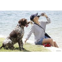 Поилка Doog дорожная BB3IN1R (красный)