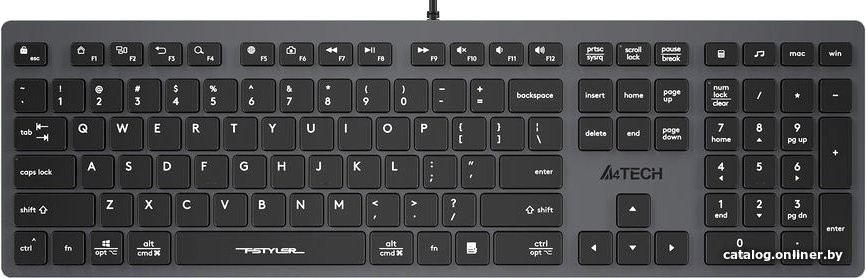 Клавиатура A4Tech Fstyler FX50 (серый)