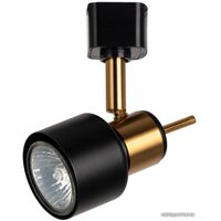 Трековый светильник Arte Lamp Almach A1906PL-1BK