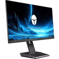 Игровой монитор Thunderobot HitBox 24F280 JT00EW00TRU