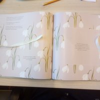 Книга издательства Эксмо. Наш свадебный альбом (Брианти Флориана)