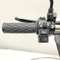 Электровелосипед GreenCamel Транк 18 V8 (R18 250Вт 60В 10Ач)