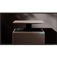 Очиститель воздуха BORK A808