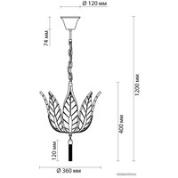 Подвесная люстра Odeon Light Floweri 4838/4