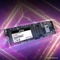 SSD ADATA XPG Gammix S50 Pro 500GB AGAMMIXS50P-500G-B в Витебске