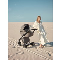 Универсальная коляска Anex E/type 2022 (2 в 1, gothic et-03A)