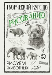 Творческий курс по рисованию. Рисуем животных! (Грей Мистер)