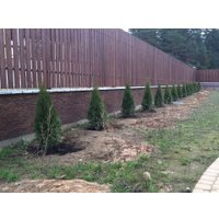 Декоративный камень Petra Сахара рядовой [04K2]