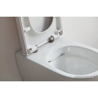 Унитаз подвесной SSWW CT2039V в Могилеве