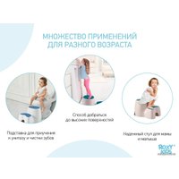 Подставка для умывания Roxy Kids RPD-001 (синий)